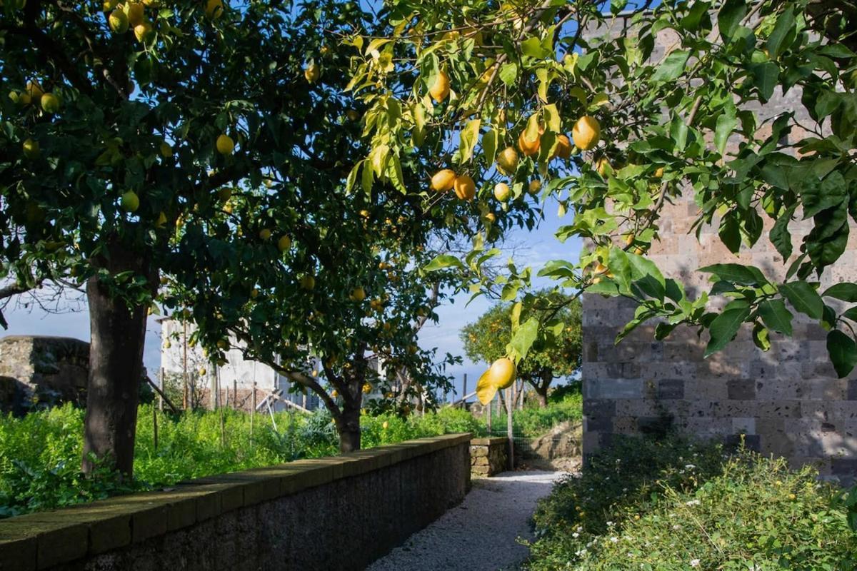 Domus Maresca Villa Sant'Agnello Bagian luar foto